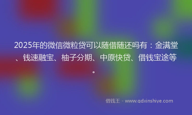 2025年的微信微粒贷可以随借随还吗有：金满堂、钱速融宝、柚子分期、中原快贷、借钱宝途等。