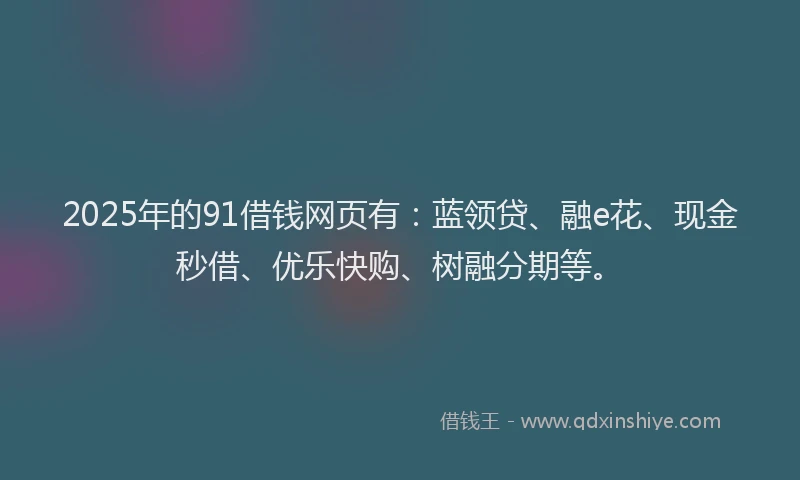 2025年的91借钱网页有：蓝领贷、融e花、现金秒借、优乐快购、树融分期等。