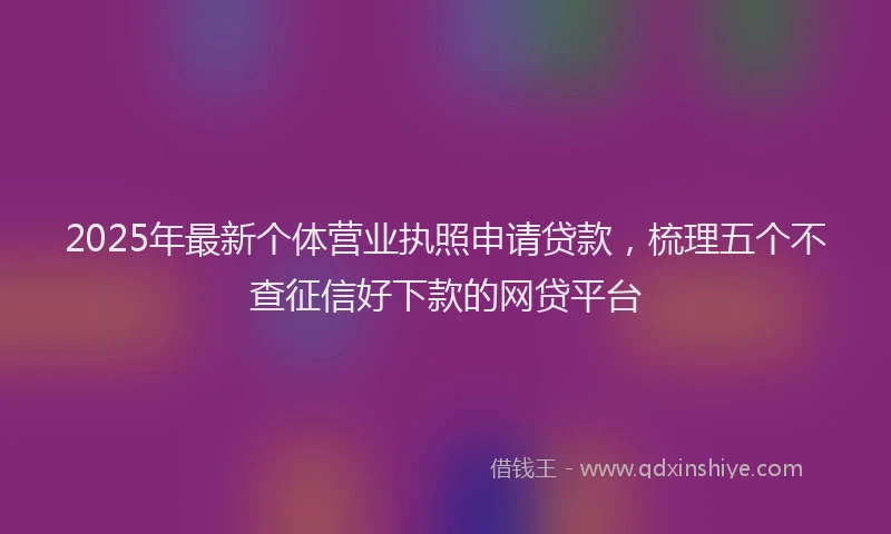 2025年最新个体营业执照申请贷款，梳理五个不查征信好下款的网贷平台