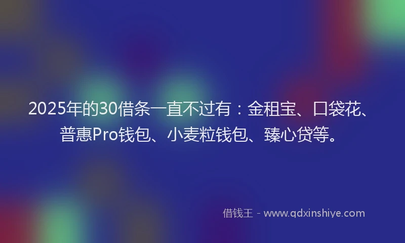 2025年的30借条一直不过有：金租宝、口袋花、普惠Pro钱包、小麦粒钱包、臻心贷等。