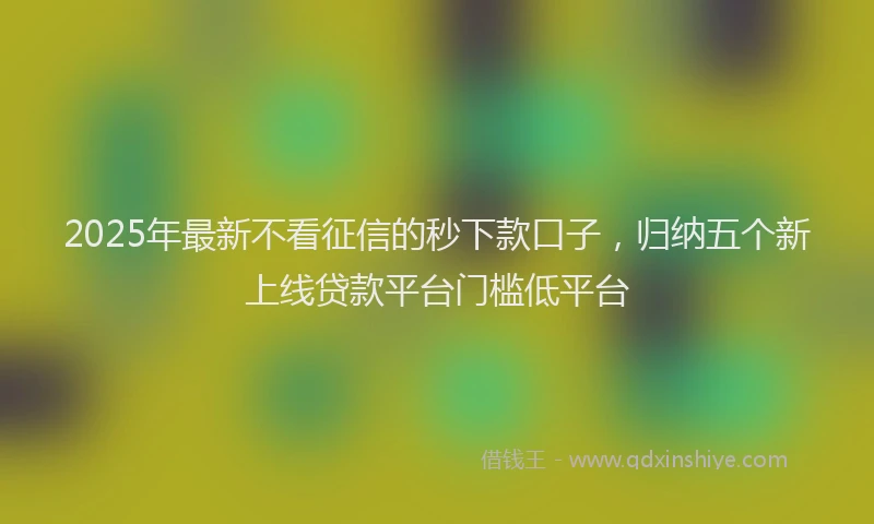2025年最新不看征信的秒下款口子，归纳五个新上线贷款平台门槛低平台