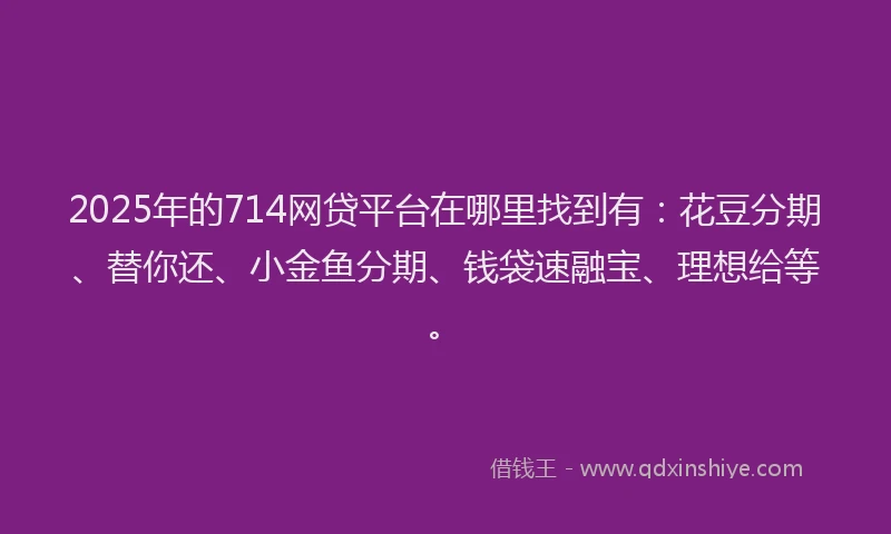 2025年的714网贷平台在哪里找到有：花豆分期、替你还、小金鱼分期、钱袋速融宝、理想给等。
