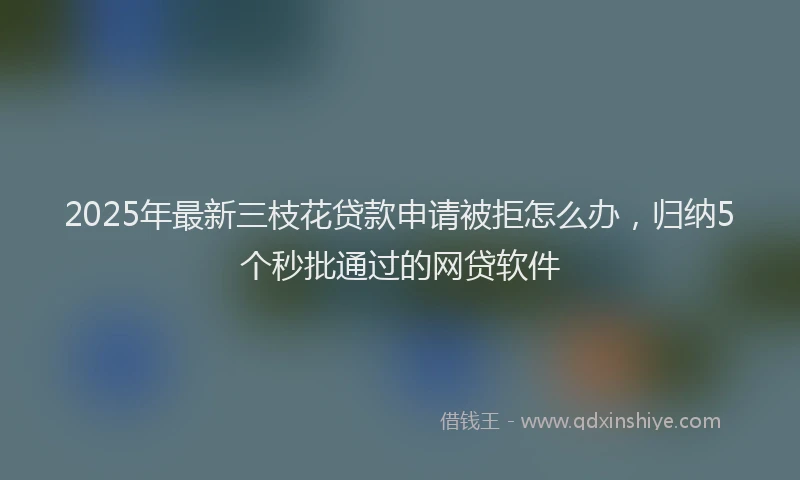 2025年最新三枝花贷款申请被拒怎么办，归纳5个秒批通过的网贷软件