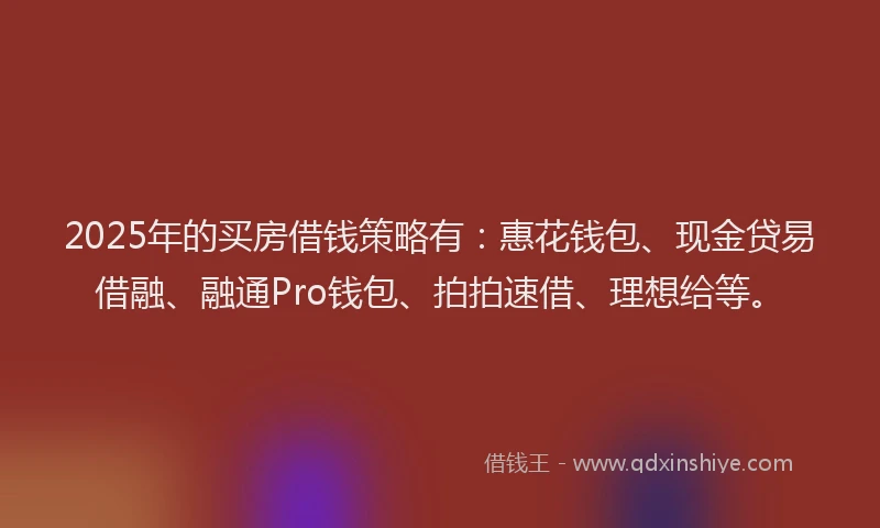 2025年的买房借钱策略有：惠花钱包、现金贷易借融、融通Pro钱包、拍拍速借、理想给等。
