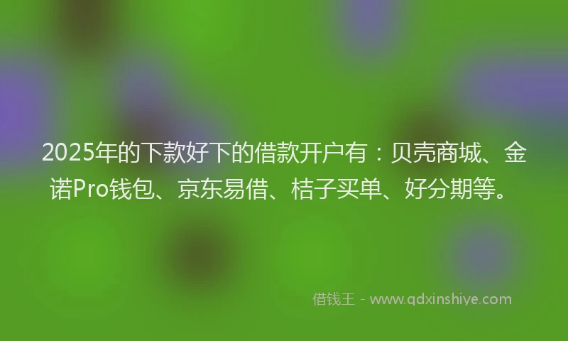 2025年的下款好下的借款开户有：贝壳商城、金诺Pro钱包、京东易借、桔子买单、好分期等。
