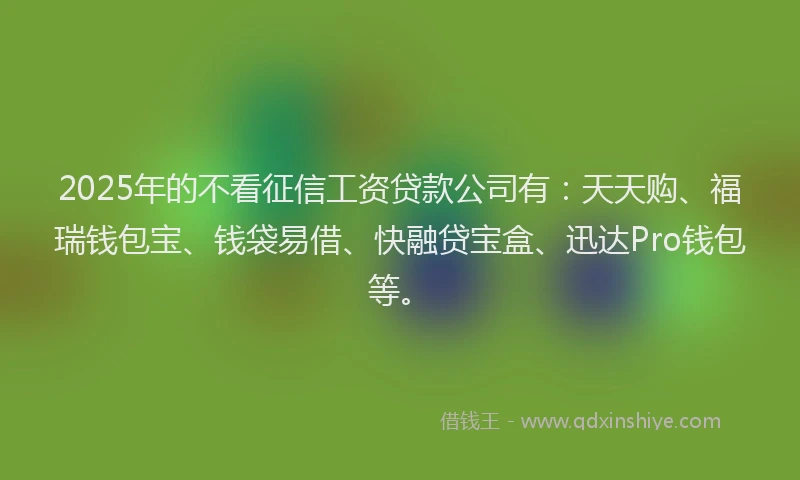 2025年的不看征信工资贷款公司有：天天购、福瑞钱包宝、钱袋易借、快融贷宝盒、迅达Pro钱包等。