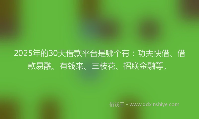 2025年的30天借款平台是哪个有：功夫快借、借款易融、有钱来、三枝花、招联金融等。