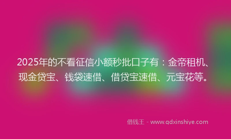 2025年的不看征信小额秒批口子有：金帝租机、现金贷宝、钱袋速借、借贷宝速借、元宝花等。