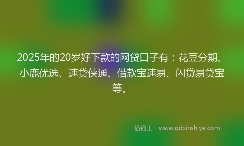 2025年的20岁好下款的网贷口子有：花豆分期、小鹿优选、速贷侠通、借款宝速易、闪贷易贷宝等。