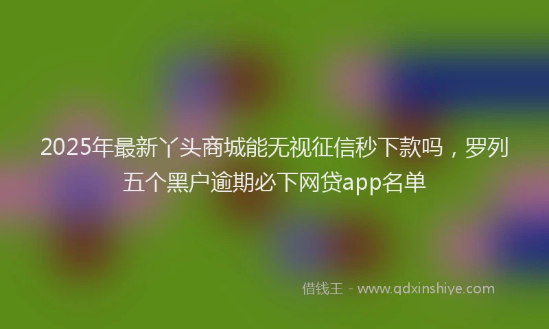 2025年最新丫头商城能无视征信秒下款吗，罗列五个黑户逾期必下网贷app名单