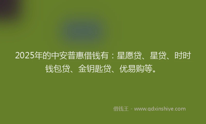 2025年的中安普惠借钱有：星愿贷、星贷、时时钱包贷、金钥匙贷、优易购等。