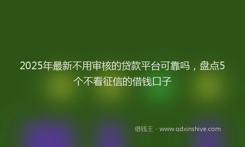 2025年最新不用审核的贷款平台可靠吗，盘点5个不看征信的借钱口子