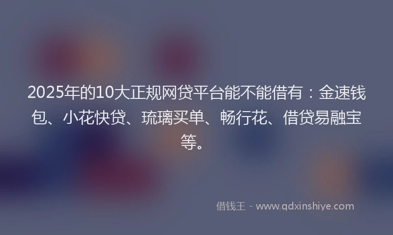 2025年的10大正规网贷平台能不能借有：金速钱包、小花快贷、琉璃买单、畅行花、借贷易融宝等。