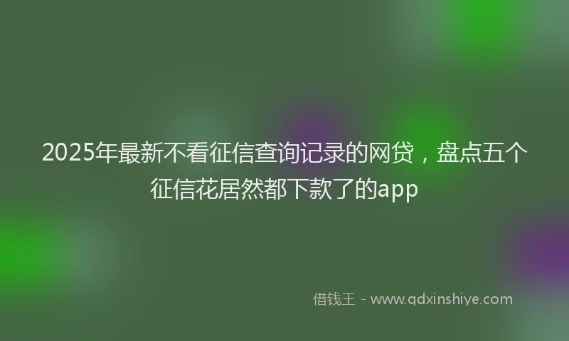 2025年最新不看征信查询记录的网贷，盘点五个征信花居然都下款了的app