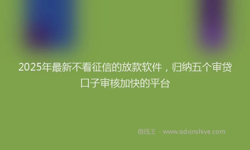 2025年最新不看征信的放款软件，归纳五个审贷口子审核加快的平台