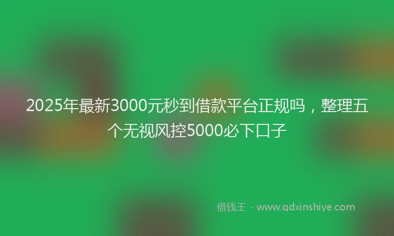 2025年最新3000元秒到借款平台正规吗，整理五个无视风控5000必下口子