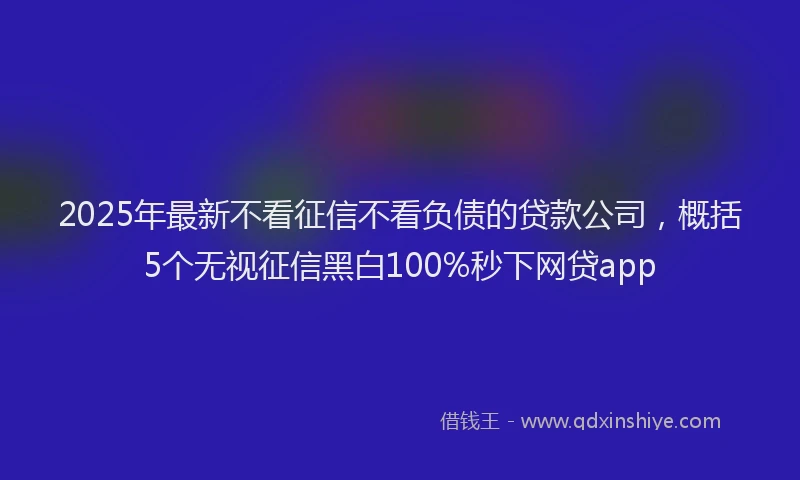 2025年最新不看征信不看负债的贷款公司，概括5个无视征信黑白100%秒下网贷app