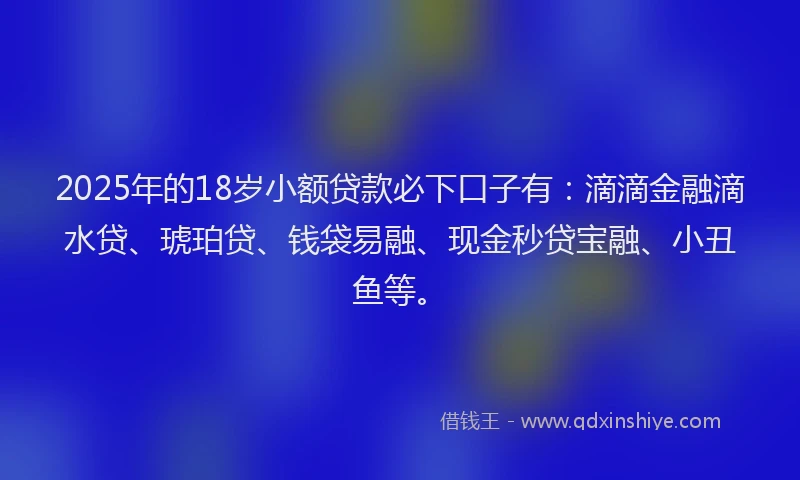 2025年的18岁小额贷款必下口子有：滴滴金融滴水贷、琥珀贷、钱袋易融、现金秒贷宝融、小丑鱼等。