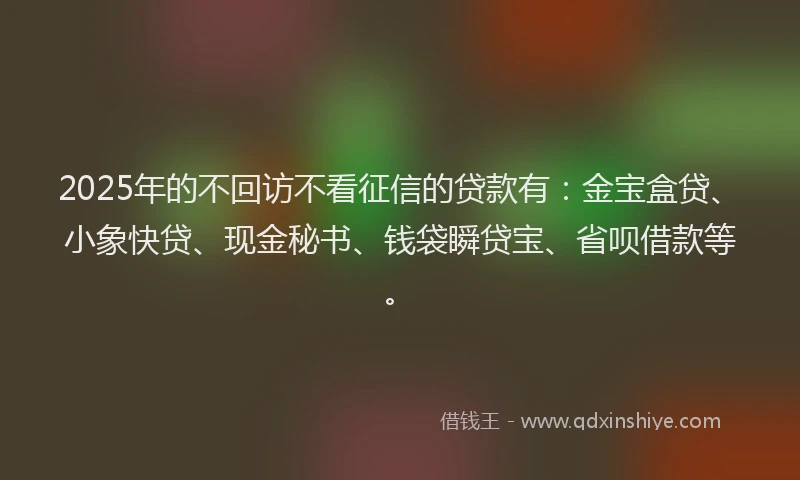 2025年的不回访不看征信的贷款有：金宝盒贷、小象快贷、现金秘书、钱袋瞬贷宝、省呗借款等。