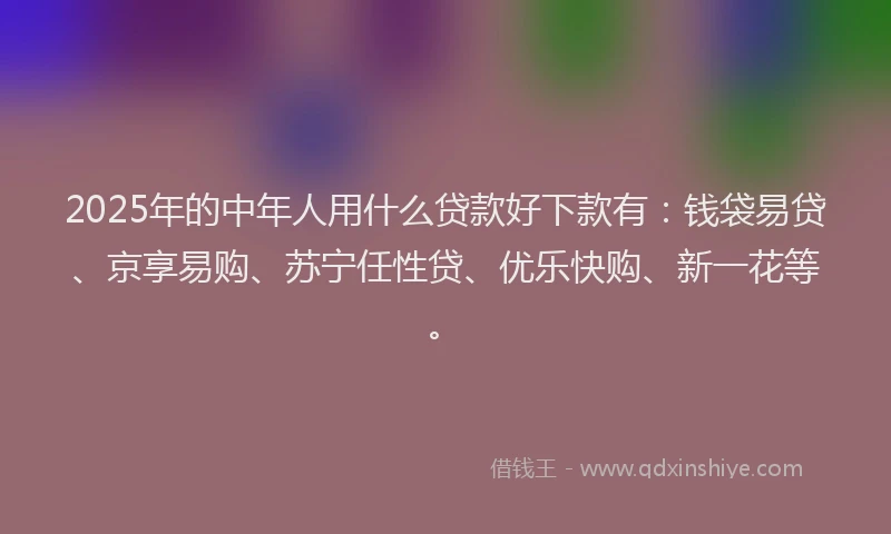 2025年的中年人用什么贷款好下款有：钱袋易贷、京享易购、苏宁任性贷、优乐快购、新一花等。