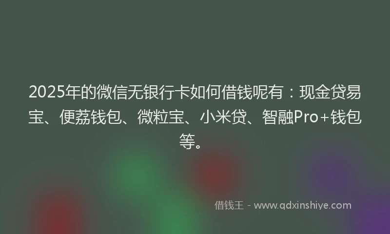 2025年的微信无银行卡如何借钱呢有：现金贷易宝、便荔钱包、微粒宝、小米贷、智融Pro+钱包等。