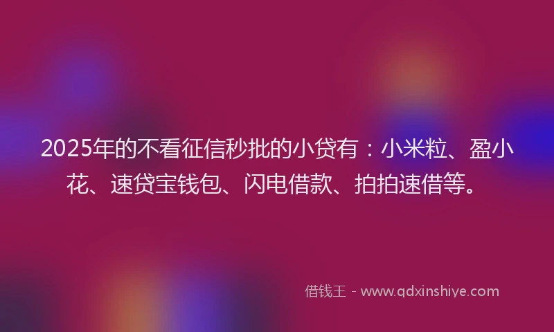 2025年的不看征信秒批的小贷有：小米粒、盈小花、速贷宝钱包、闪电借款、拍拍速借等。