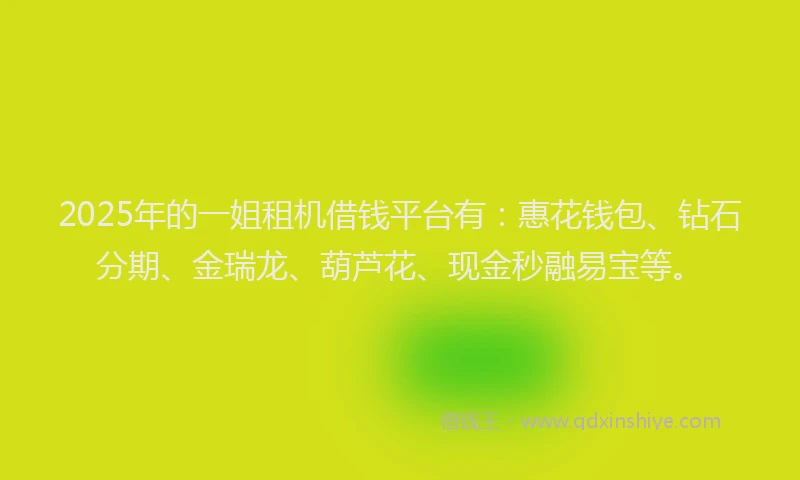 2025年的一姐租机借钱平台有：惠花钱包、钻石分期、金瑞龙、葫芦花、现金秒融易宝等。