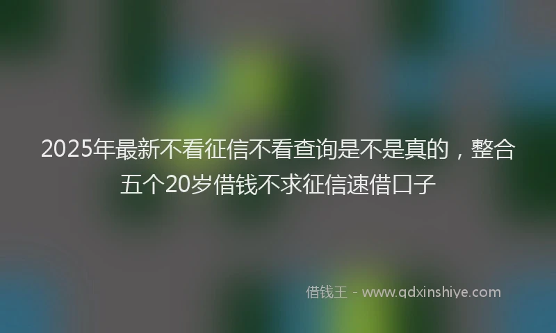 2025年最新不看征信不看查询是不是真的，整合五个20岁借钱不求征信速借口子
