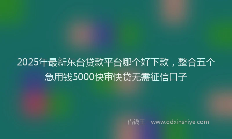 2025年最新东台贷款平台哪个好下款，整合五个急用钱5000快审快贷无需征信口子