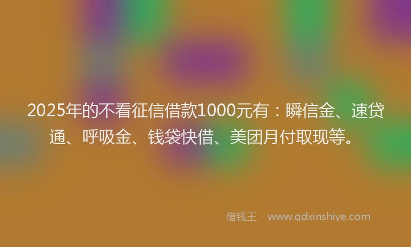 2025年的不看征信借款1000元有：瞬信金、速贷通、呼吸金、钱袋快借、美团月付取现等。