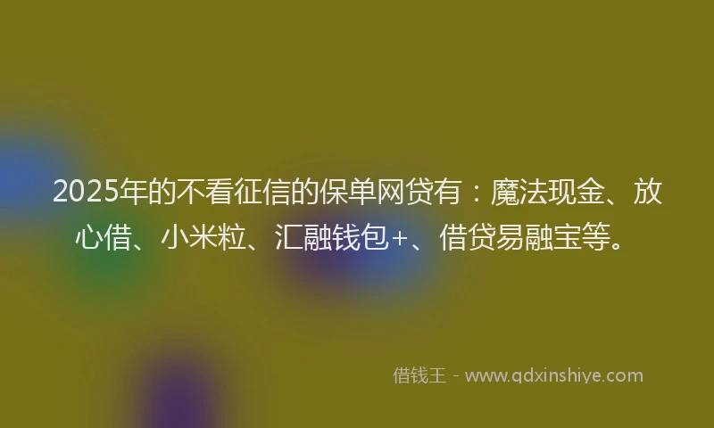 2025年的不看征信的保单网贷有：魔法现金、放心借、小米粒、汇融钱包+、借贷易融宝等。