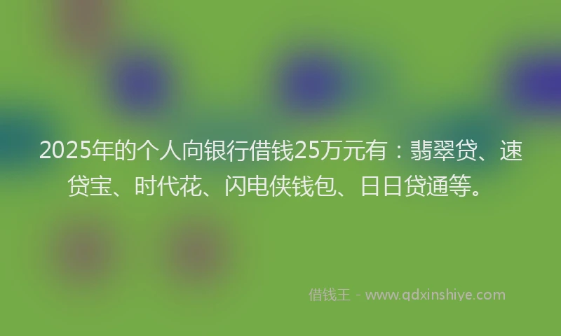 2025年的个人向银行借钱25万元有：翡翠贷、速贷宝、时代花、闪电侠钱包、日日贷通等。