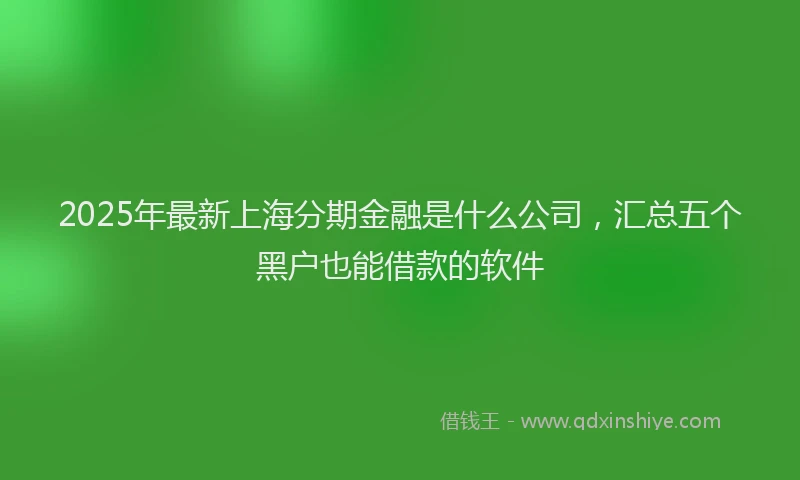 2025年最新上海分期金融是什么公司，汇总五个黑户也能借款的软件