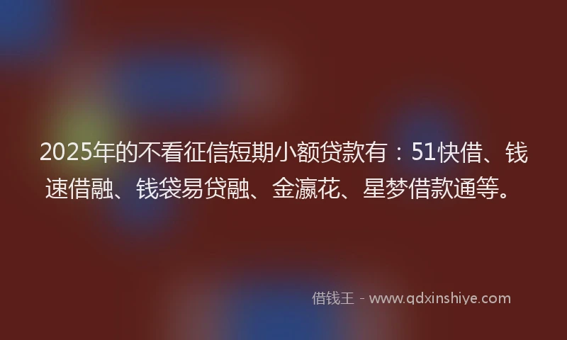 2025年的不看征信短期小额贷款有：51快借、钱速借融、钱袋易贷融、金瀛花、星梦借款通等。