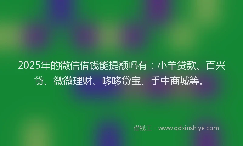2025年的微信借钱能提额吗有：小羊贷款、百兴贷、微微理财、哆哆贷宝、手中商城等。