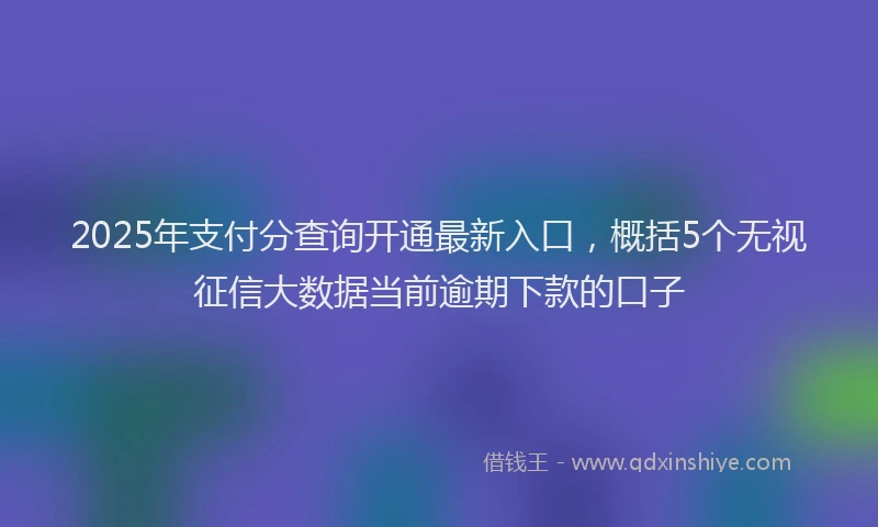 2025年支付分查询开通最新入口，概括5个无视征信大数据当前逾期下款的口子