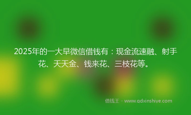 2025年的一大早微信借钱有：现金流速融、射手花、天天金、钱来花、三枝花等。