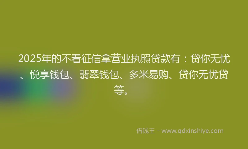 2025年的不看征信拿营业执照贷款有：贷你无忧、悦享钱包、翡翠钱包、多米易购、贷你无忧贷等。