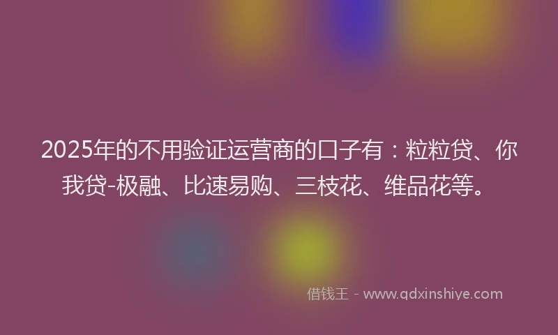 2025年的不用验证运营商的口子有：粒粒贷、你我贷-极融、比速易购、三枝花、维品花等。