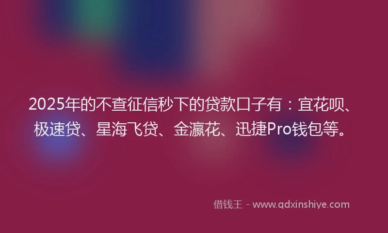 2025年的不查征信秒下的贷款口子有：宜花呗、极速贷、星海飞贷、金瀛花、迅捷Pro钱包等。