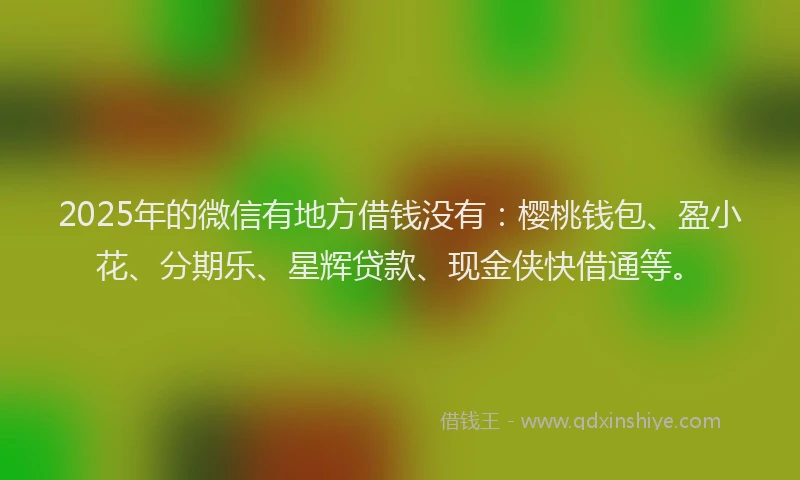 2025年的微信有地方借钱没有：樱桃钱包、盈小花、分期乐、星辉贷款、现金侠快借通等。