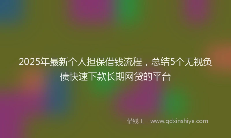 2025年最新个人担保借钱流程，总结5个无视负债快速下款长期网贷的平台