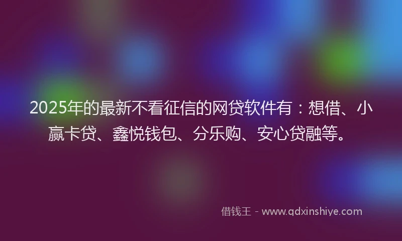 2025年的最新不看征信的网贷软件有：想借、小赢卡贷、鑫悦钱包、分乐购、安心贷融等。