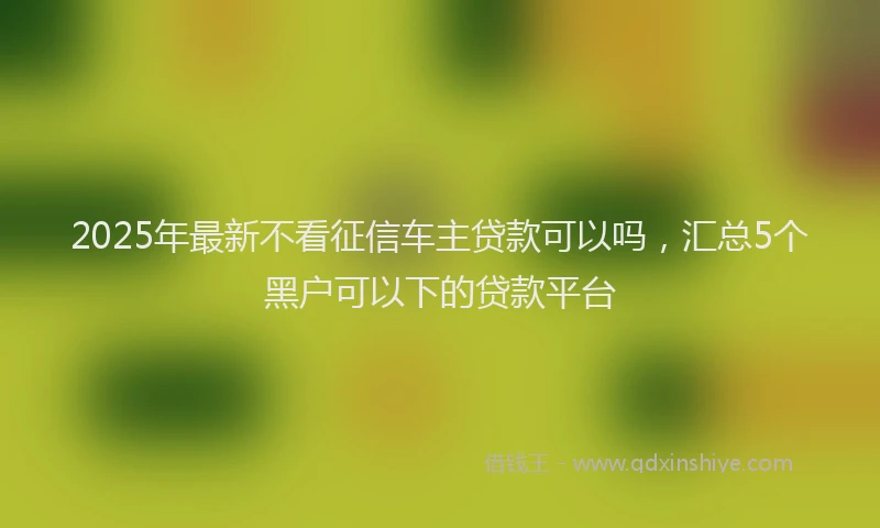 2025年最新不看征信车主贷款可以吗，汇总5个黑户可以下的贷款平台