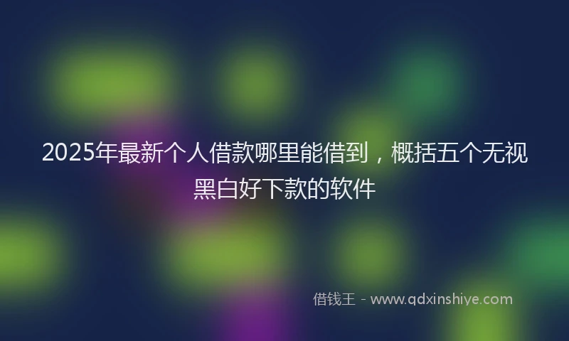 2025年最新个人借款哪里能借到，概括五个无视黑白好下款的软件
