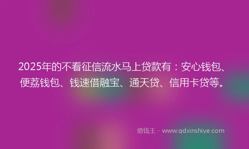 2025年的不看征信流水马上贷款有：安心钱包、便荔钱包、钱速借融宝、通天贷、信用卡贷等。
