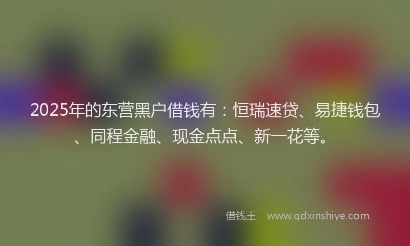 2025年的东营黑户借钱有：恒瑞速贷、易捷钱包、同程金融、现金点点、新一花等。