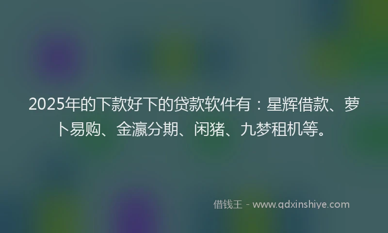 2025年的下款好下的贷款软件有：星辉借款、萝卜易购、金瀛分期、闲猪、九梦租机等。