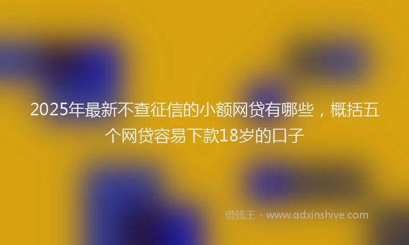 2025年最新不查征信的小额网贷有哪些，概括五个网贷容易下款18岁的口子