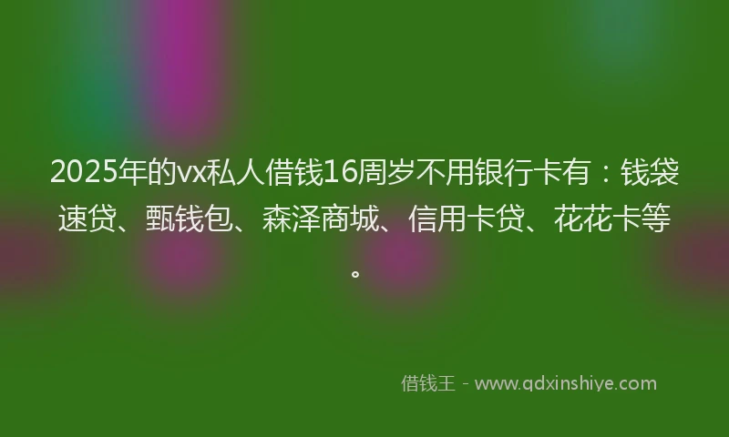 2025年的vx私人借钱16周岁不用银行卡有：钱袋速贷、甄钱包、森泽商城、信用卡贷、花花卡等。